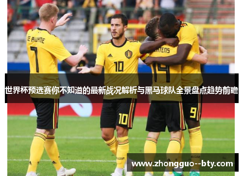 世界杯预选赛你不知道的最新战况解析与黑马球队全景盘点趋势前瞻